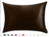 100% Queen Standard Satin Silk Soft Mulberry Plain Pillowcase Cover Chair Seat Square Pillow Cover Decorations for Home Pillow