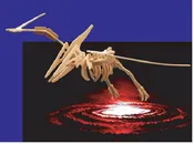 3D Giant Pteranodon Wood Craft Dinosaur Skeleton Kit, 47 inch, 6 Sets