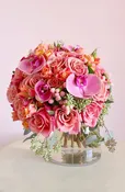 CALABASAS CANDY BLOOM