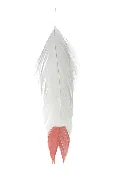 MFC Printed Fish Feathers Fin Tip