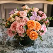 Spray It Ain't So! - Soft Colors