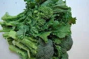 Broccoli, Raab
