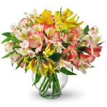 Perfect Peruvian Lilies