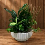 Ceramic Dish Garden, 12”
