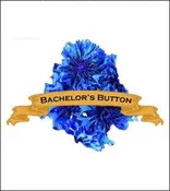 Bachelor’s Button Seed. Organic Blue. Pkt.