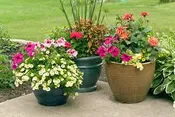PATIO PLANTER