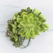 Succulent Corsage by BloomNation™