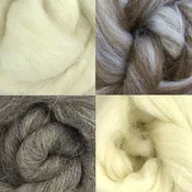 2024 Conservation Breed Fiber Bundle