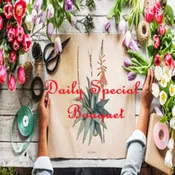 Daily Special Deal