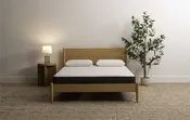 Mancini's Sleepworld Marina Firm Mattress 8"