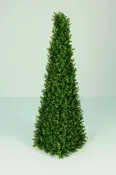 Boxwood Spire