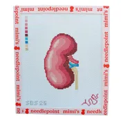 Anatomical Kidney