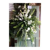 SYMPATHY SPRAY - SYM-079