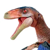 Deinonychus antirrhopus – Cyberzoic- 1/18th scale action figure
