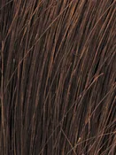 10" Guilty Pleasure | Human Hair Lace Front Topper (Mono Top)