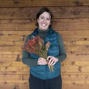 Celosia Plume - Coho Red - Short — Charles Little and Company LLC