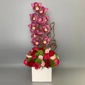 Lovely Orchid