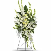 Magnificent Life Spray