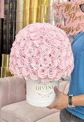 150 preserved Roses (Choose colors)
