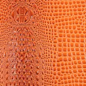 Precut Vinyl - Aussie Gator - Crush Orange - 18"x54"