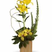 Bamboo Tropics - TFWEB620
