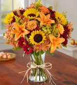 Get Into Fall