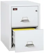 FireKing 2-1929-2 Two Drawer Vertical Letter Size Filing Cabinet