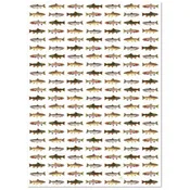 "Trout Wrapping Paper" – A Nature-Inspired Gift Wrap