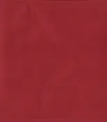 541-19 - SN Shantung Red