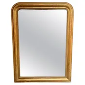 19th Century French Louis Philippe Mirror with Floral Pattern