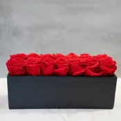 Red Preserved Roses in black ceramic rectangle
