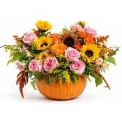 Blush & Bloom Pumpkin