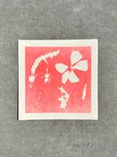 Justine Kaemmerlen / Rocket Red