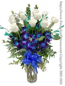 Blue & White Roses