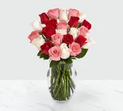 Lovely Roses