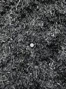 Black Mulch