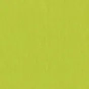 Artisan Cotton – Artisan Solid | Apple Green/Chartreuse Yarn Dyed | Cotton Quilting Fabric