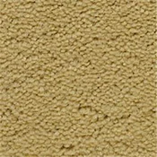 Fabrica Golden Rule Plush Saxony Carpet