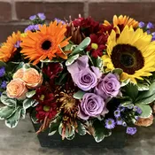 Bountiful Harvest