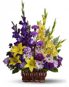 Basket of Memories — Black Eyed Susan's Flowers & Plants