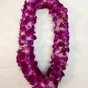 Celebration Lei  ( PRE-ORDER ONLY)