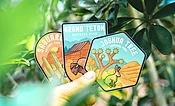 Die Cut Stickers