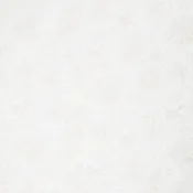 108" Premium Quilt Backs - Toile Ivory 108" Wide Backing