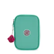 100 Pens Metallic Case