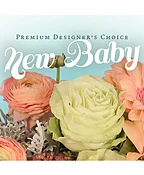 BEAUTIFUL NEW BABY FLOWERS