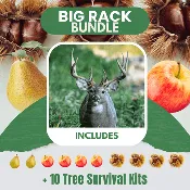 Big Rack Bundle |18"-36"| 10 Trees + Kits!