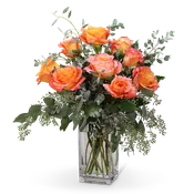 Free Spirit Roses (9)