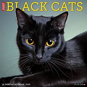 Black Cats 2026 Wall Calendar
