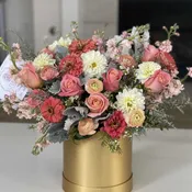 Adaluz Box