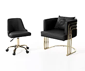 DT Luxury Black Customer &amp; Technician chair